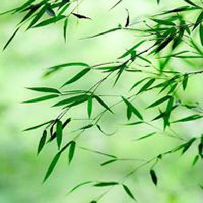 降神计划游戏下载