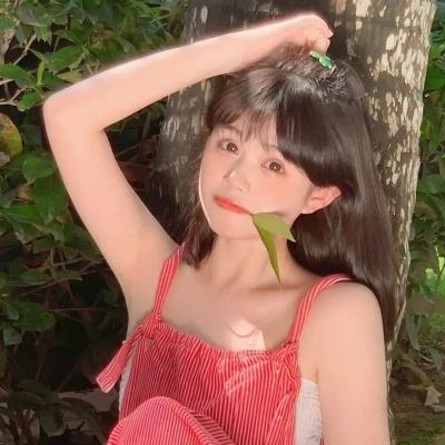 墨三国小米版下载